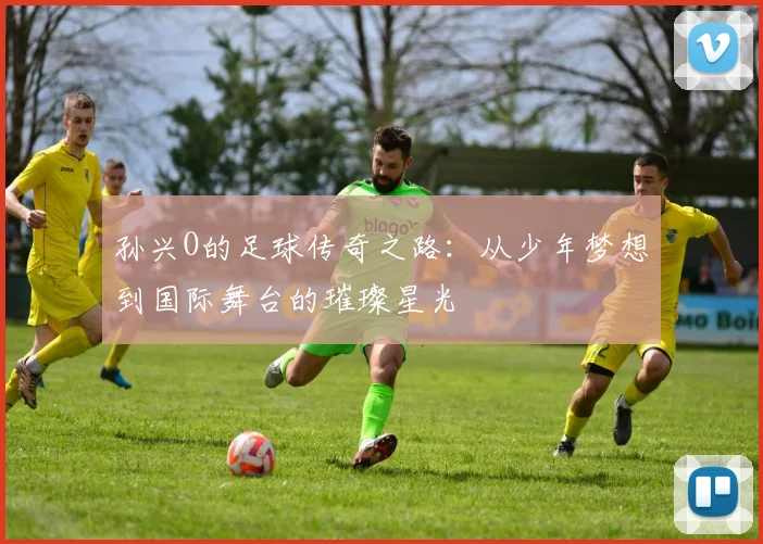 孙兴O的足球传奇之路：从少年梦想到国际舞台的璀璨星光