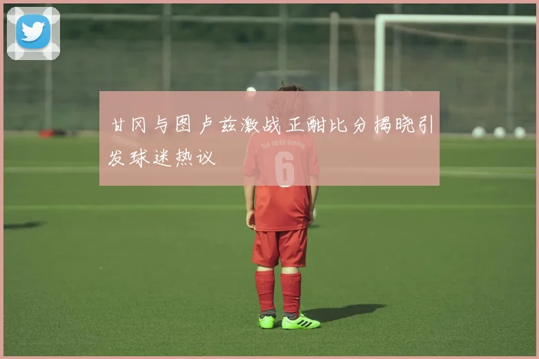 甘冈与图卢兹激战正酣比分揭晓引发球迷热议