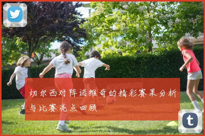 切尔西对阵诺维奇的精彩赛果分析与比赛亮点回顾